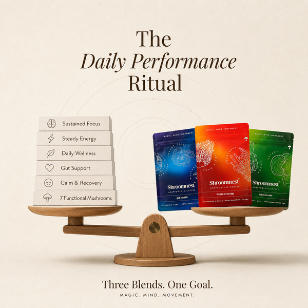 The Daily Performance Ritual