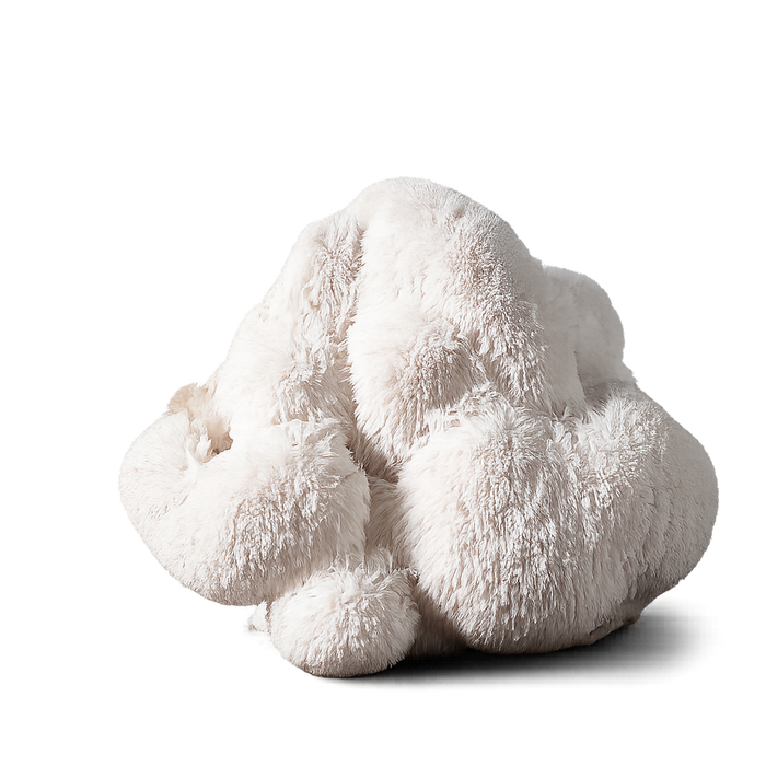 Lion's Mane