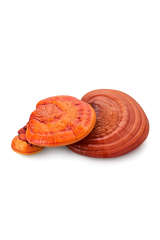 Reishi