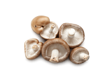 Shiitake