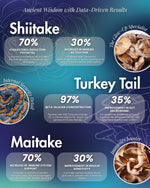 Gut Health