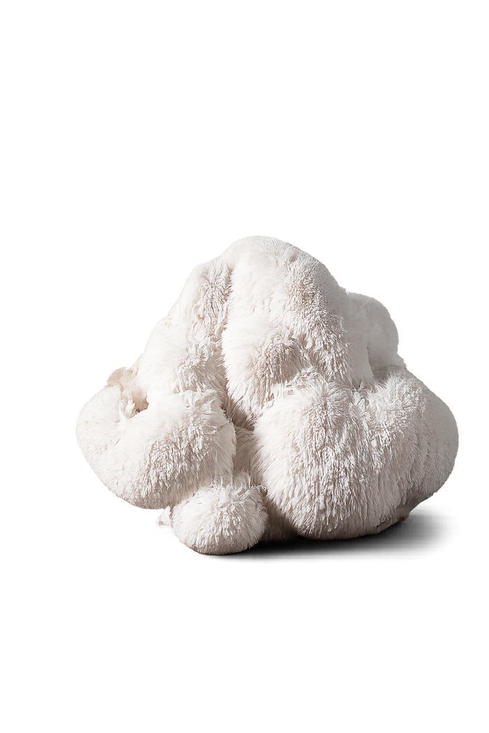 Lion's Mane