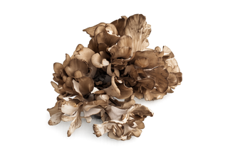 🍄