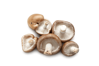 🍄